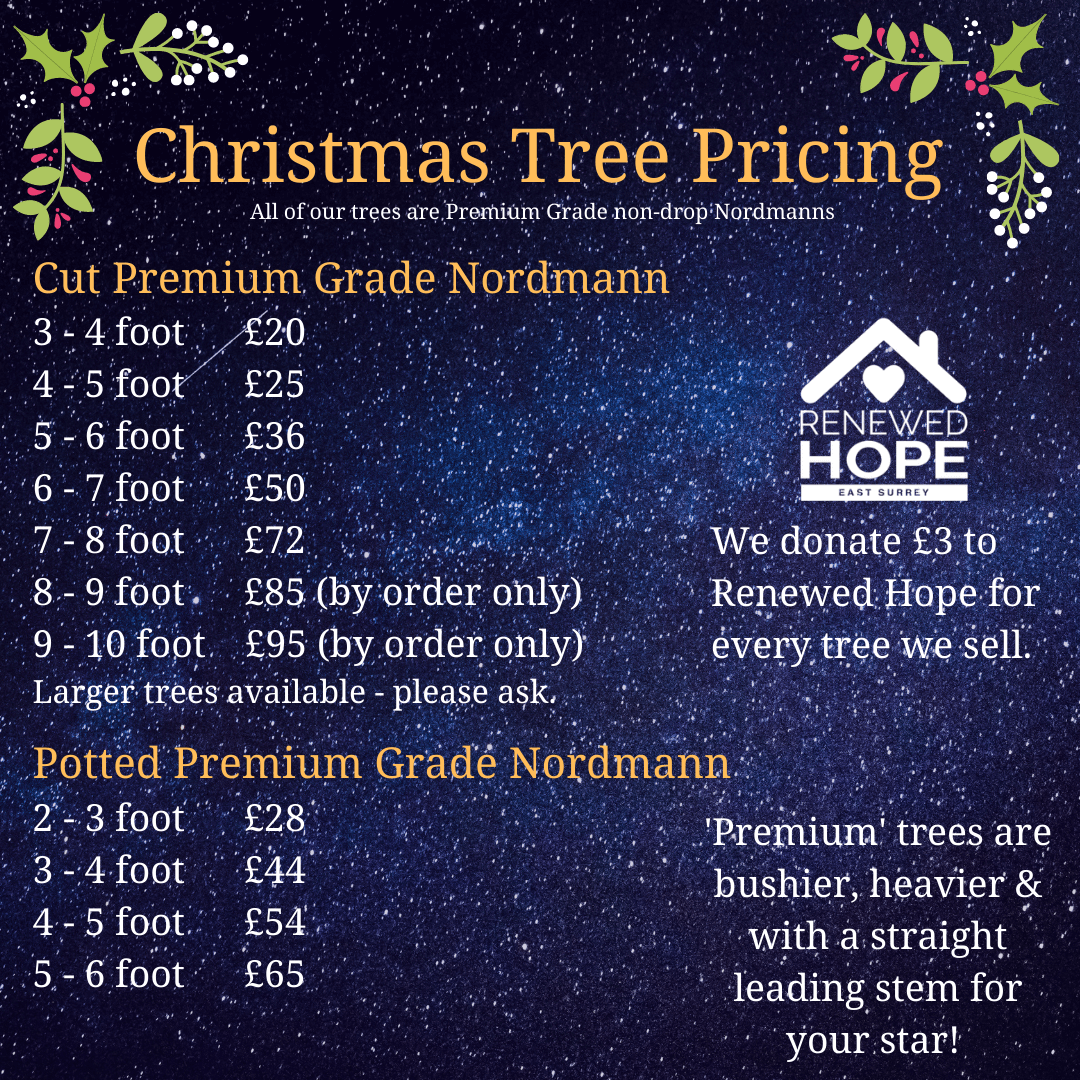 Christmas Tree Pricing-26.png