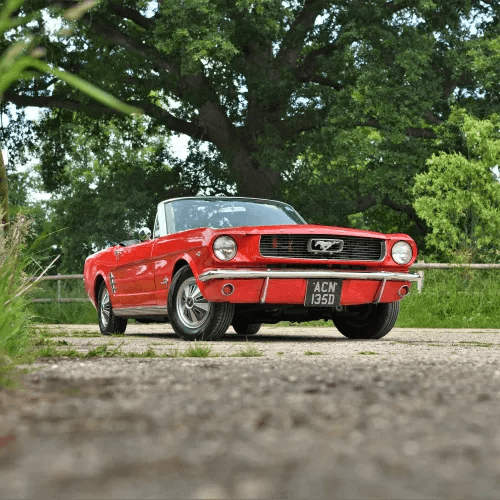 Mustang_66_1.png